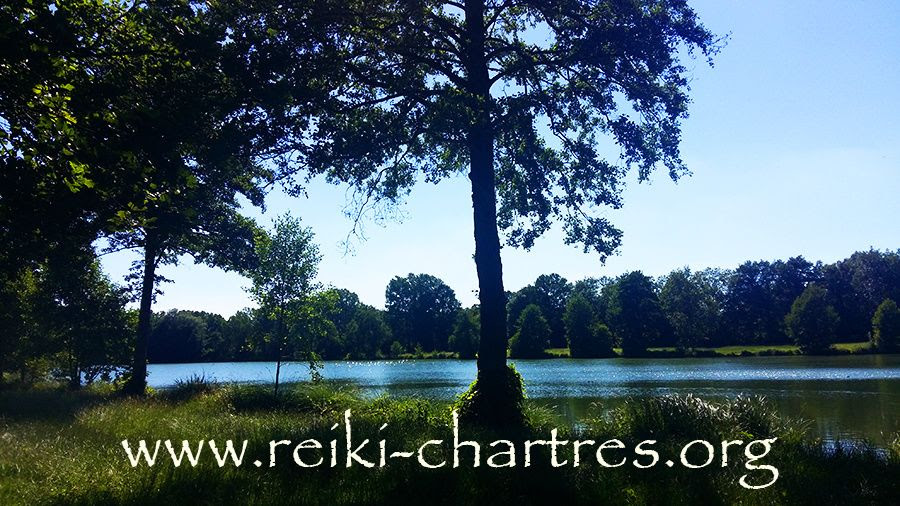 Le Reiki Leau Lair La Terre Et Le Feu Reiki Chartres