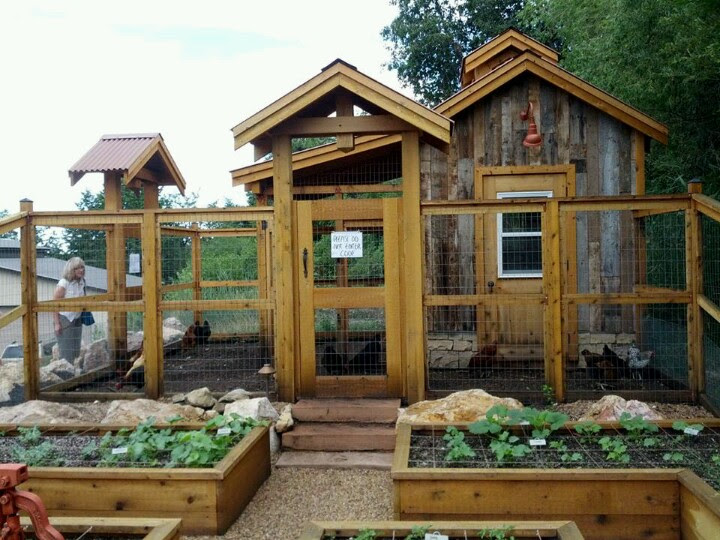 20 Stunning Chicken Coop Designs For Your Lovely Birds The Poultry