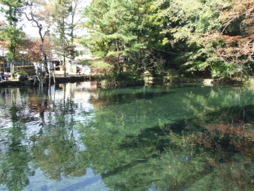 出流原弁天池 栃木県佐野市 日本名水百選 紅葉 観光名所 日本隅々の旅 全国観光名所巡り グルメ日記