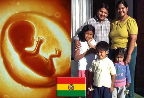Ante presiones del lobby gay y del aborto laicos bolivianos piden defender vida y familia