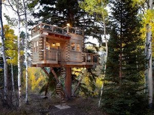 Houzz Call: Show Us Your Well-Designed Treehouse or Tree Fort! (3 photos)