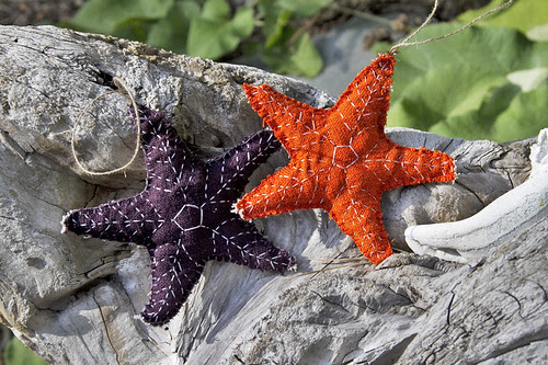 ochre stars