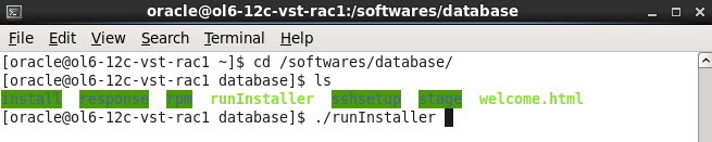 Oracle 12c on Linux 6