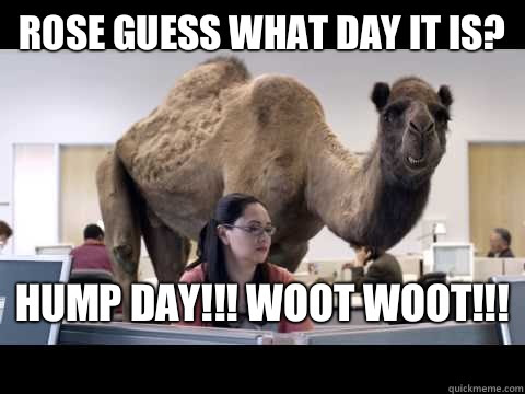 Rose Guess What Day It Is Hump Day Woot Woot Hump Day Camel Quickmeme