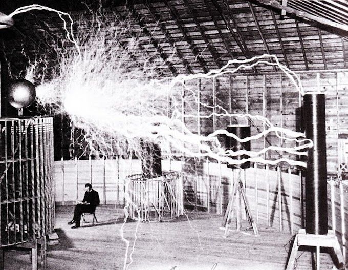 Nikola Tesla Pigeon : Nikola Tesla Wikipedia / One pigeon, in particular, stole his heart.