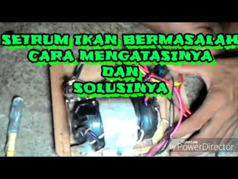 MENGATASI PERMASALAHAN SETRUM IKAN