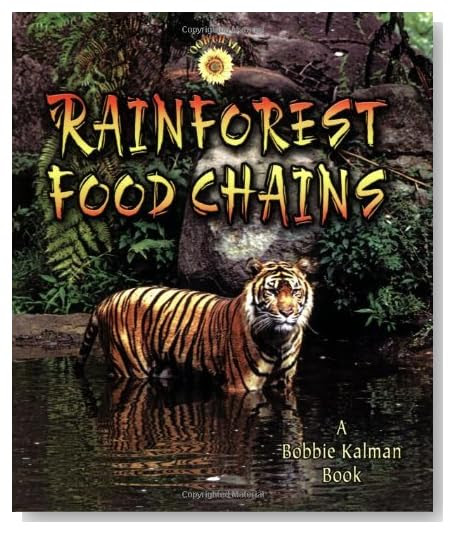 +food+chains+for+kids