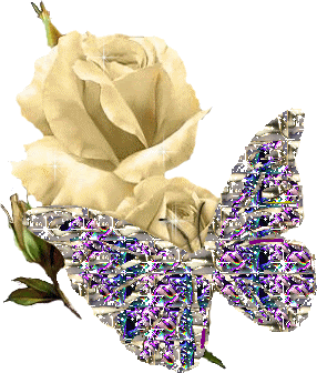 White Roses And Butterfly