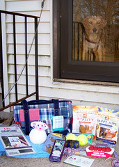 SpringBox_sophie