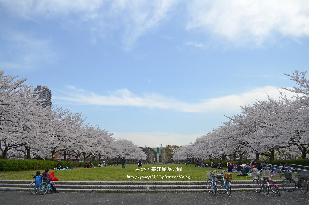 東京 錦系町 賞櫻野餐好地方 猿江恩賜公園 龜兔的東京粉闘記 痞客邦