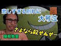 【人気ダウンロード！】 ��殺教室 殺せんせー 正体 243099-暗殺教室 殺せんせー ��体