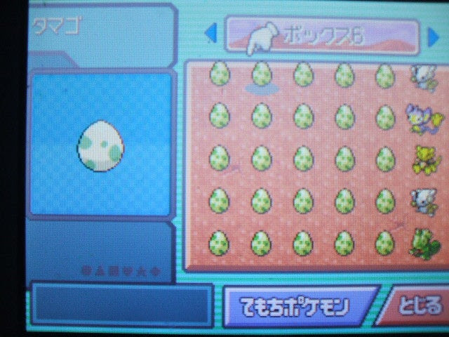 能力の高いポケモンの育て方 育成 すねかじりブログ