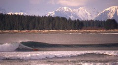 Good day at GraveYards