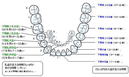 医療法人社団 笠幡歯科医院 当院について