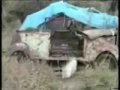 Funny Cats / Прикольные коты