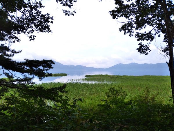 今日の田沢湖 自然いっぱいのハーブ園 年8月16日撮影 田沢湖ハーブガーデン ハートハーブ