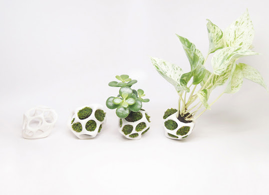 cella, kickstarter, planter pods, modular pod, modular, plant pod, moss,