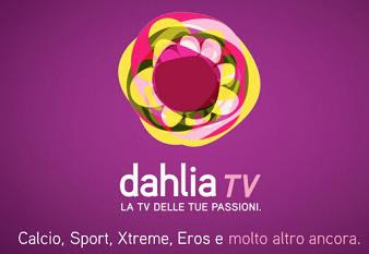 Sky o Dahlia TV: quale pay tv scegliere?