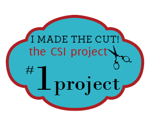 Visit thecsiproject.com