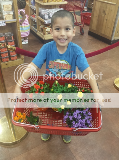  photo Picture17_zpsf83c4d72.png