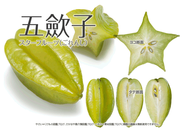果物80 五歛子 スターフルーツ 断面 やさい くだもの図鑑