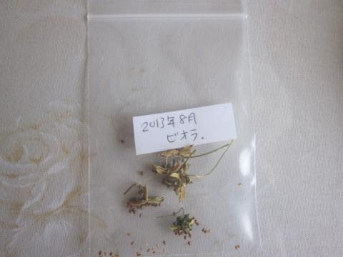 ビオラの種を冷蔵庫に保管しました 猫と園芸