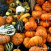 Colorful Gourds