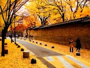 이문세 - 광화문 연가 노래듣기 / 가사 / 노래방 