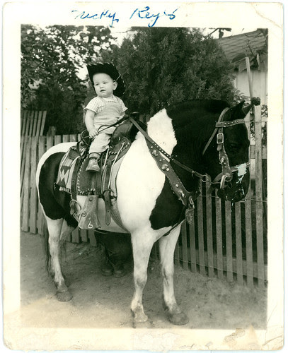 Horse and baby