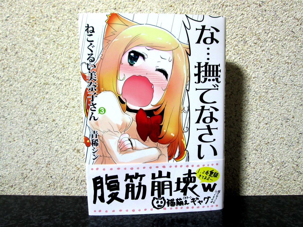 ねこぐるい美奈子さん ３巻 マイペースなblog