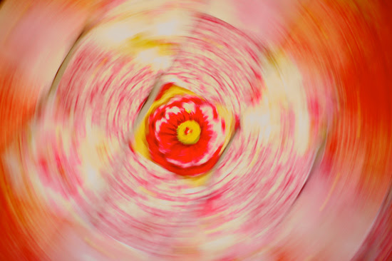 Quilt in Motion on 365 Project