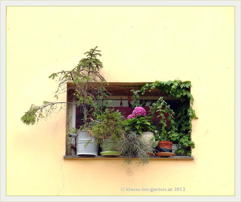 Fenstergarten 1030 Wien
