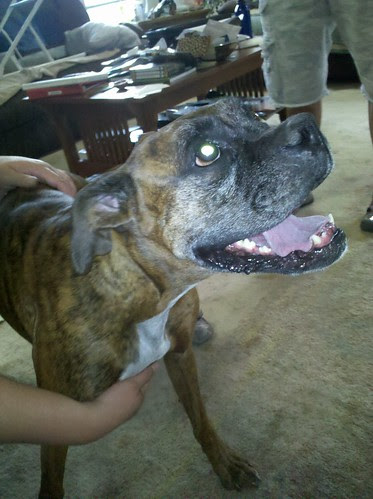 Puppy!