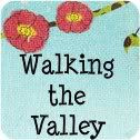 Walking The Valley