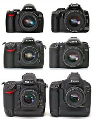 Nikons vs. Canons