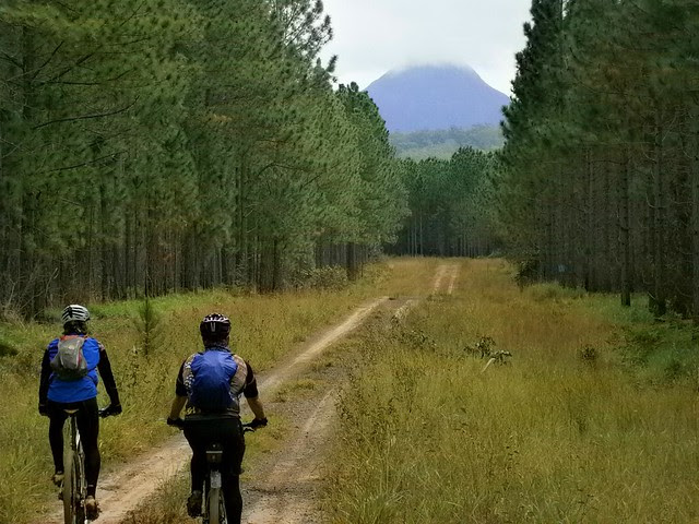 Forestry Trail