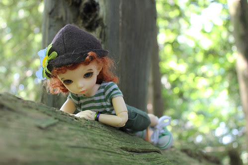 bug watching