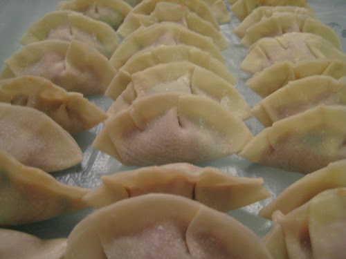 Homemade Dumpling