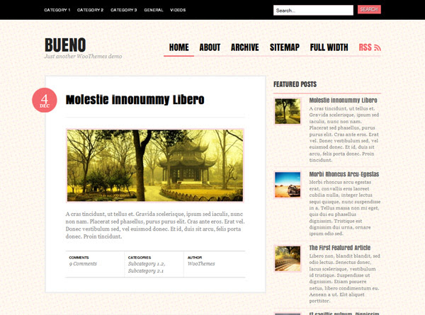 Bueno WordPress Teması İndir