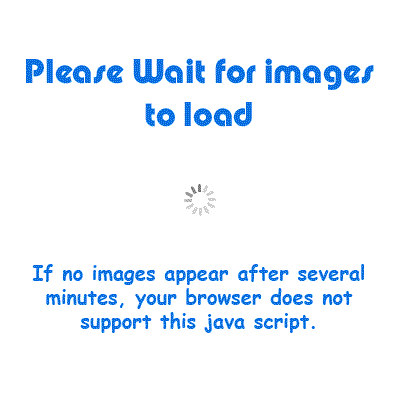 loading animated gif. slide show.