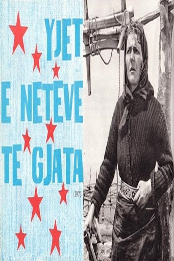 Kép