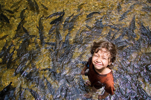 Boy and Fish