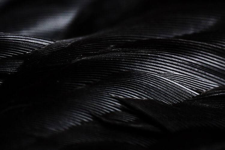 Abstract nature photography 06