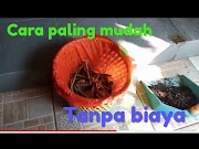 Penting Mengolah Sampah Organik Menjadi Pupuk Kompos Membuat Pupuk Kompos Dari Sampah Organik, Viral!