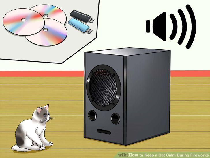 Keep a Cat Calm During Fireworks Step 11.jpg