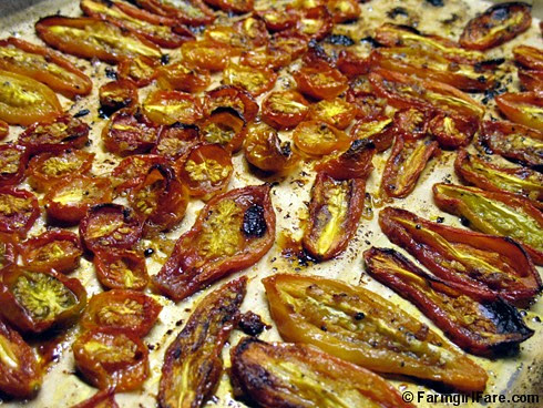 Green to Red to Quick Roasted Tomatoes