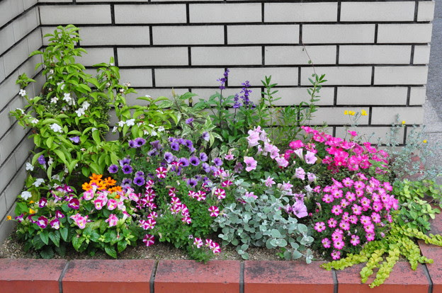 寄せ植え花壇12 春 夏ｖｅｒ 写真共有サイト フォト蔵
