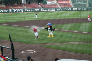 画像多数 畜ペン 畜生ペンギン こと つば九郎 の悪行まとめ 歴史 由来 意味の雑学