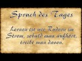 Spruch Des Tages Per Mail