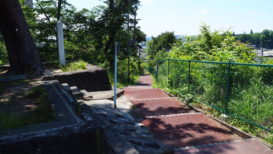 仙台市の保存樹木 瞑想の松 Apiaction